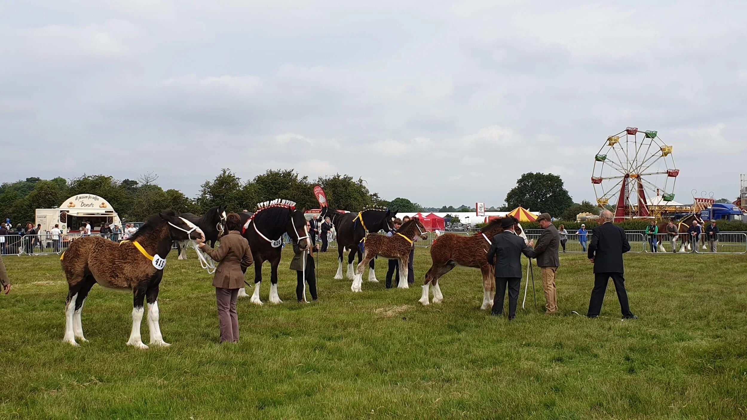 A date has been confirmed for the 2020 Derbyshire County Show at Elvaston showground