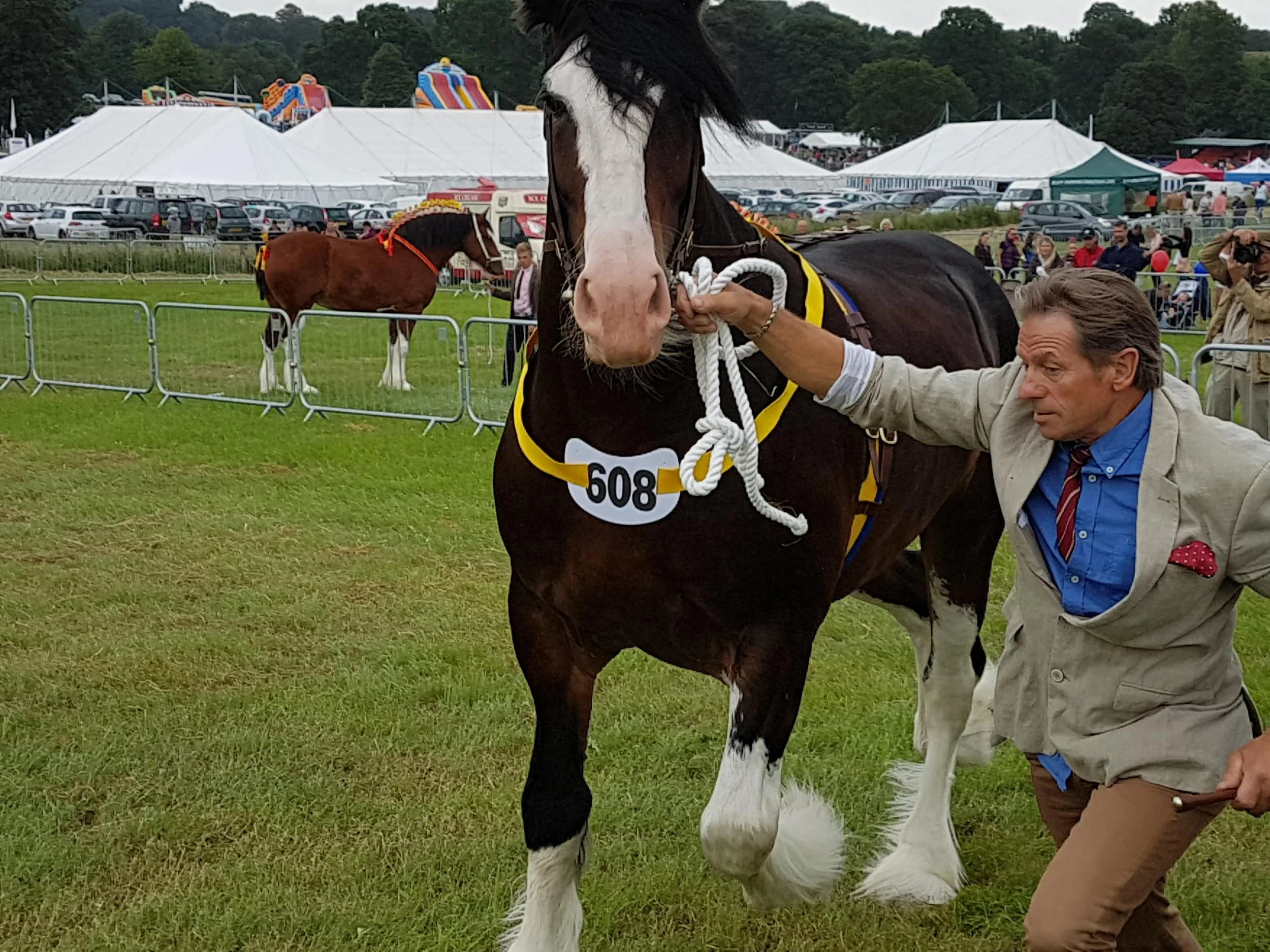 The 138th Derbyshire County Show will take place at Locko Park in Spondon on Sunday, June 24 2018. Penguin PR - public relations, media and communications