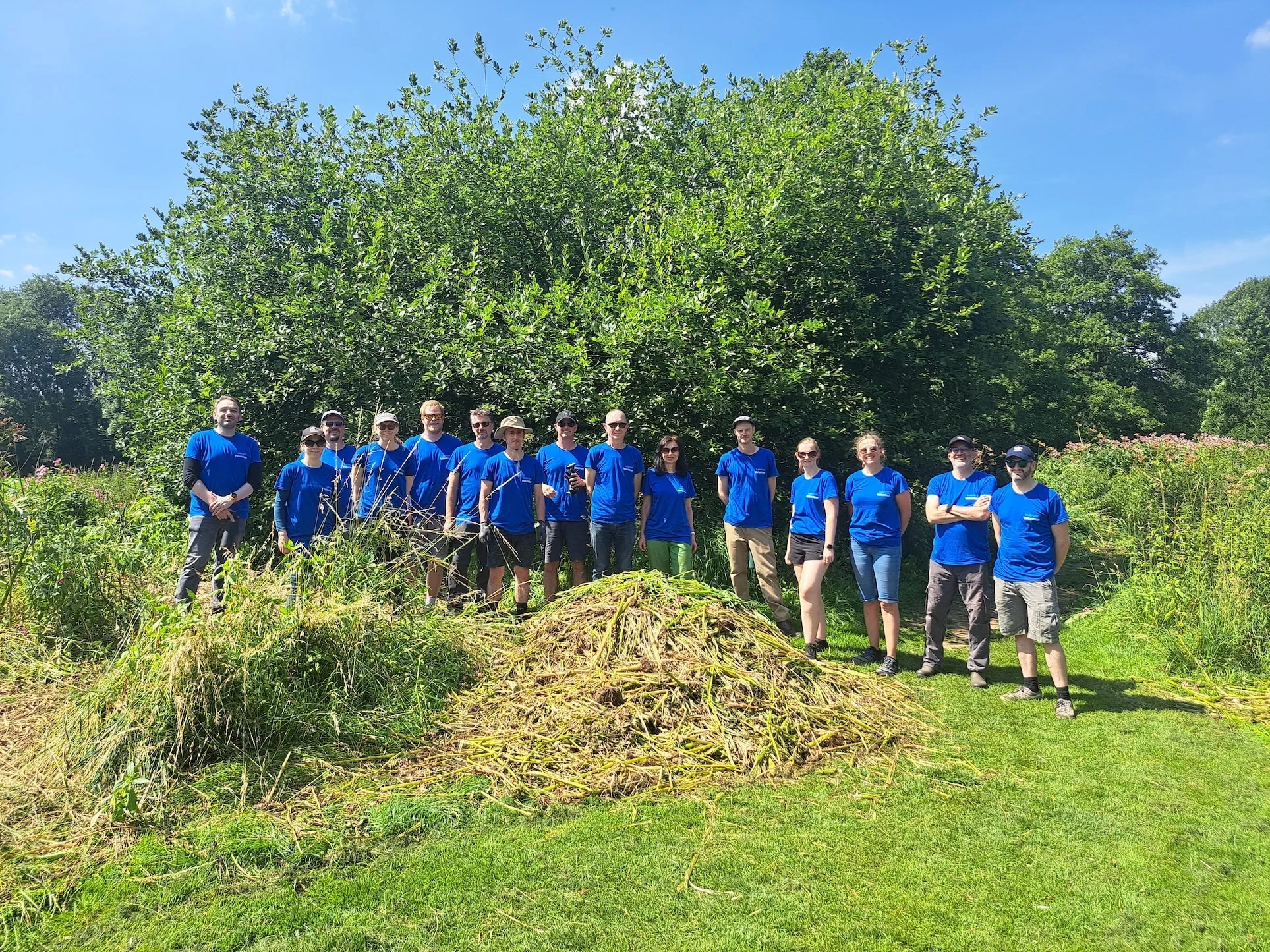 Staff from Lubrizol helping out at Duffield Millennium Meadow helping remove Himalayan Balsam