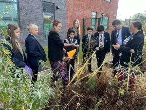 Derby Cathedral School receives biodiversity grant.